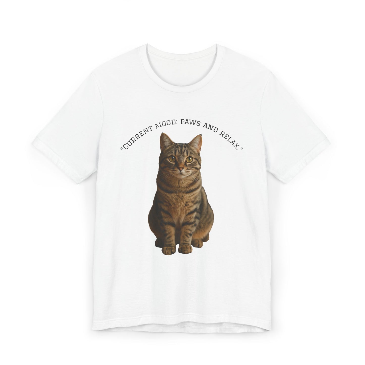 Cat Lover Unisex T-Shirt, Current Mood, Paws and Relax, Pawsitive Vibes, Gifts for Cat Moms, Cute Animal Apparel, Casual Wear
